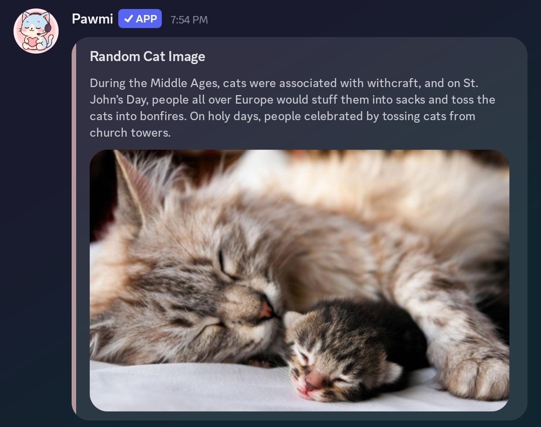 Animal Images Preview