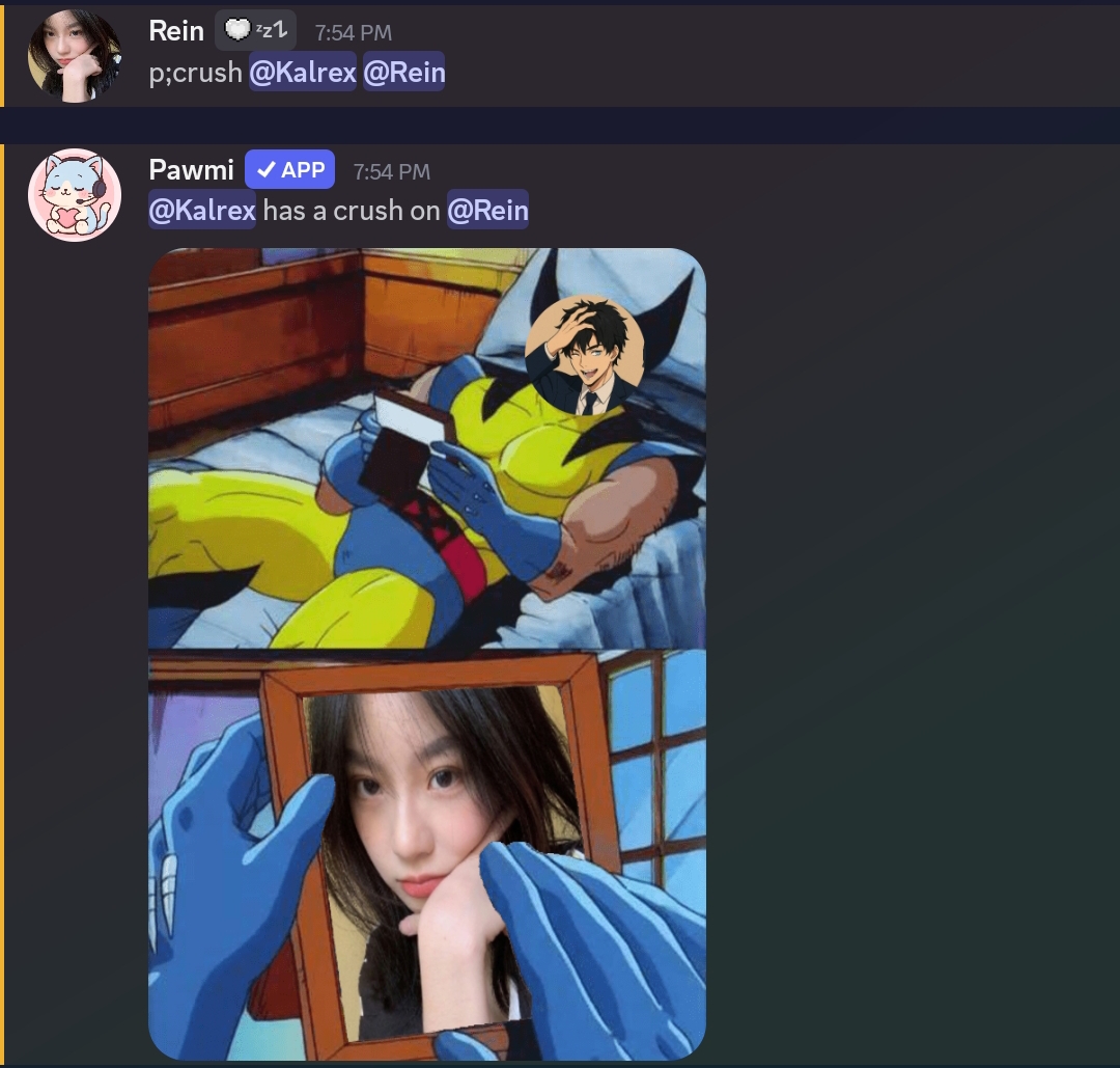 Image Manipulation Preview